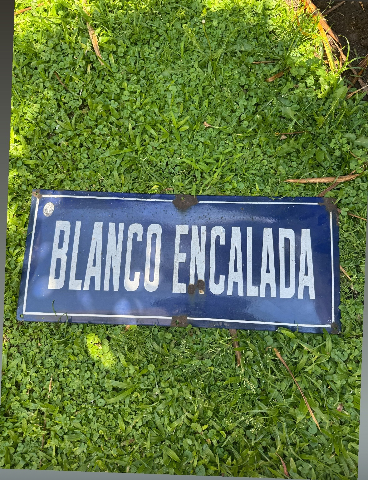 Blanco Encalada
