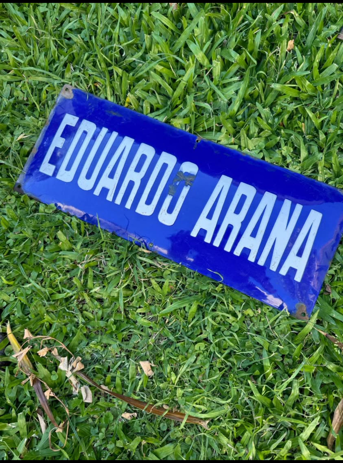 Arana