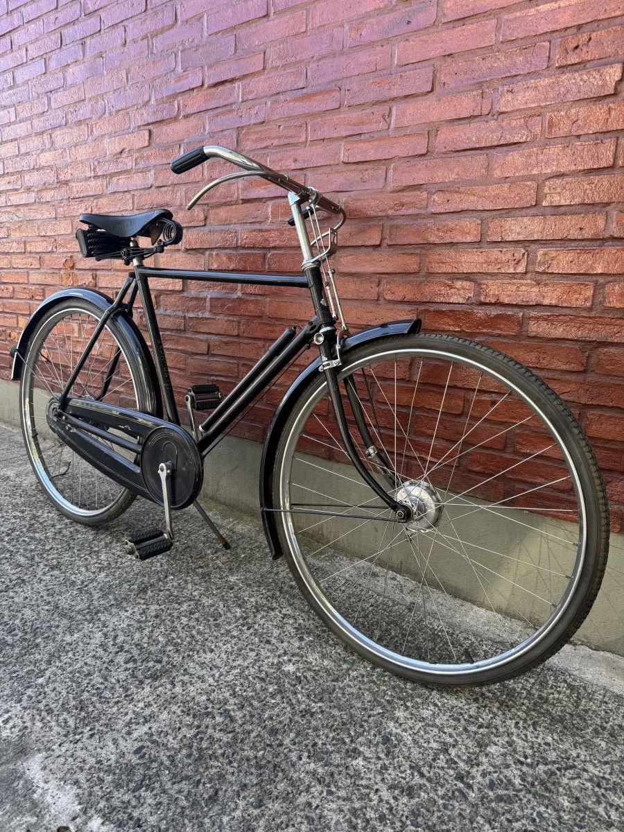 Bicicleta Raleigh
