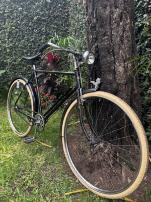 Bicicleta Phillips
