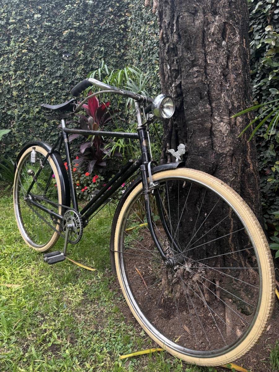 Bicicleta Phillips