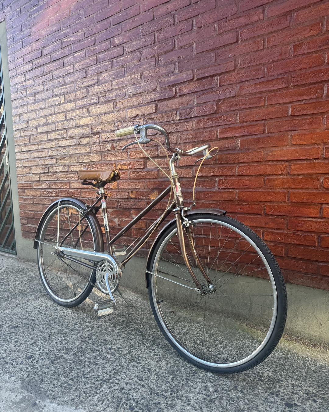 Bicicleta Murray